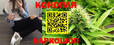 стаф Будённовск