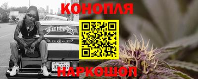 стаф Будённовск