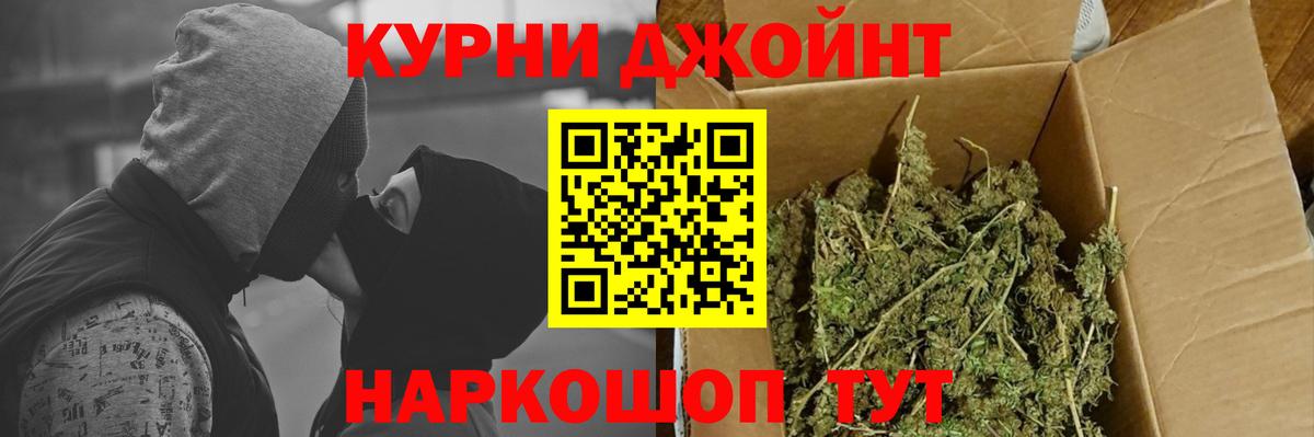 Канабис конопля Озёрск